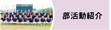 部活動・学外活動紹介